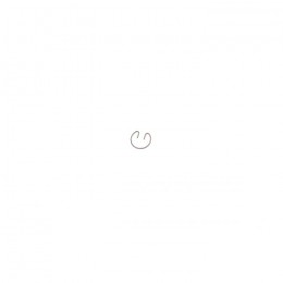 Стопорное кольцо поршня, 6695721