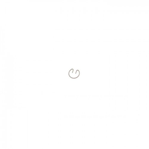 Стопорное кольцо поршня, 6695721