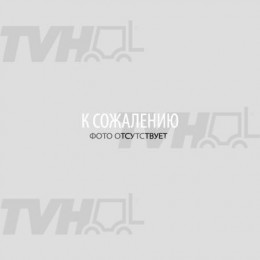 Гусеница TVH - 17220581