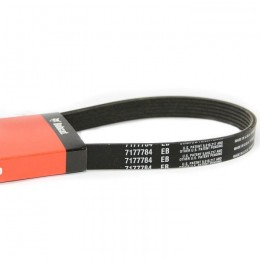 Ремень кондиционера и генератора, 7177784
