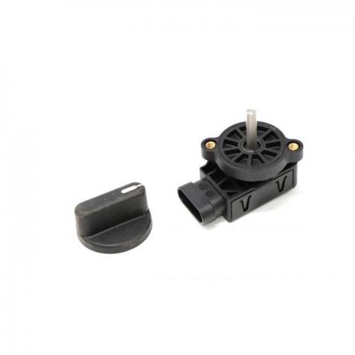 Управление дроссельной заслонкой, 7281258