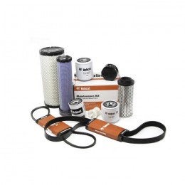 Комплект для обслуживания на 1000 часов, навинчиваемый фильтр, 7310100