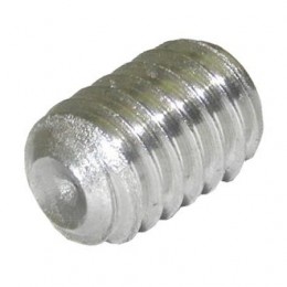 Винт с шестигранным отверстием в головке TENNANT T16 (222818)