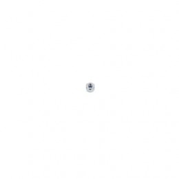 Гайка TENNANT T16 (579211)