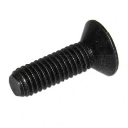 Винт с шестигранным отверстием в головке JUNGHEINRICH (AMEISE) - 24200830