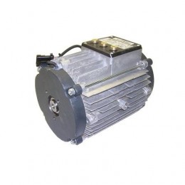 Электродвигатель JUNGHEINRICH (AMEISE) - 52001779