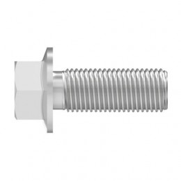 Болт, Screw, Flanged, Metric 19M7790 