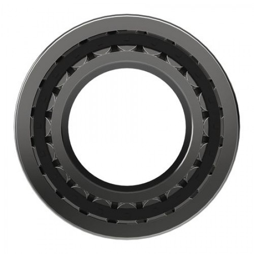 Цилиндр. ролик. подшипник, Cylindrical Roller Bearing 4003674 