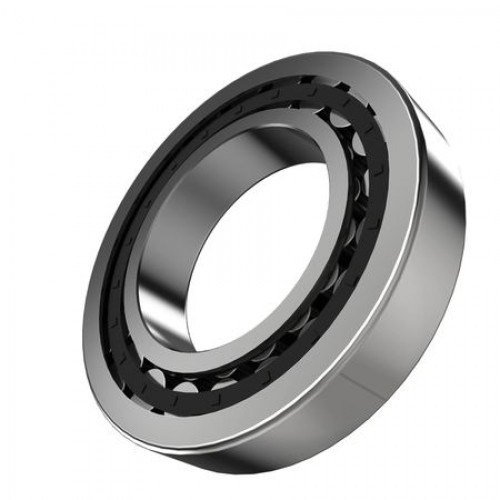 Цилиндр. ролик. подшипник, Cylindrical Roller Bearing 4003674 