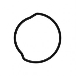 Сальник, Seal, Vacuum Dome Seal A106079 