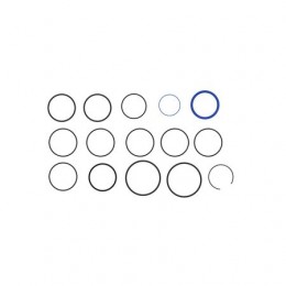 Комплект уплотнений, Seal Kit 2.5x8 Hyd Cyl AA38013 