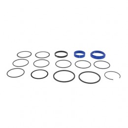 Комплект уплотнений, Seal Kit 2.5x8 Hyd Cyl AA38013 