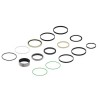 Комплект уплотнений, Hydraulic Cylinder Kit, Seal Kit, 1 AH148453 