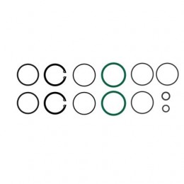 Комплект гидроцилиндров, Seal Kit, 2.75x1.125 Ag Cylinder AH176567 