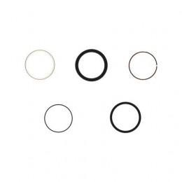 Комплект гидроцилиндров, Hydraulic Cylinder Kit, Rod Seal Ki AHC16728 