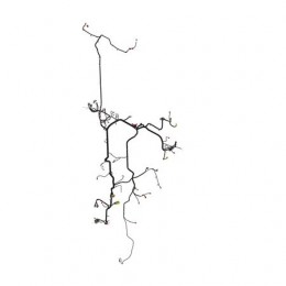 Жгут проводов, Wiring Harness, Chassis Ft4 AKK17685 