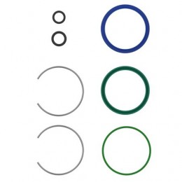 Комплект уплотнений, Seal Kit, 70mm Lift Cylinder Weber AL207998 