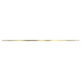 Диск с канавкой, Disk , Inner Spline W/ Lining AL69559 