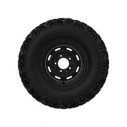 Колесо и шина в сборе, Tire And Wheel Assembly, Tire&whl A AM146351 