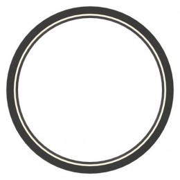 Кольцо, Ring;wiper AT201578 