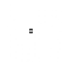 Цепь катка, Roller Chain, Clean Grain Elevator, AXE16681 