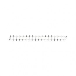 Цепь катка, Roller Chain, Clean Grain Elevator, AXE16681 