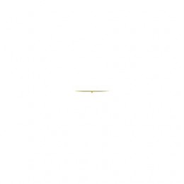 Износостойкая накладка, Wear Plate AZ101740 