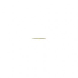 Износостойкая накладка, Wear Plate AZ101740 