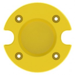 Масса, Weight, Weight, 50 Lb Cast Iron BM17972 