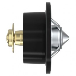 Термостат, Thermostat DZ100553 