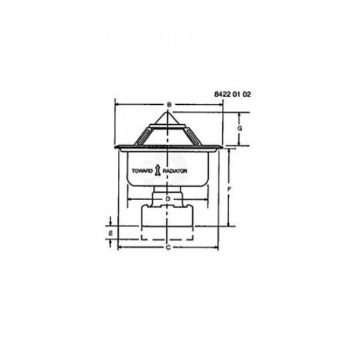 Термостат, Thermostat DZ100555 