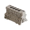 Узел короткого блока, Short Block Assembly, 6068 Ft4 DZ109872 