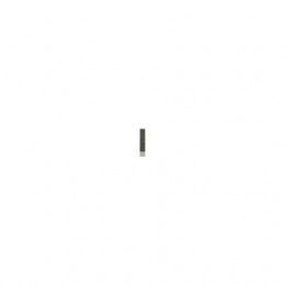 Бич, Rasp Bar, Upper Front Feedroll Reve HXE93580 