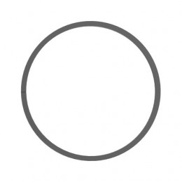 Кольцо, Ring, Sealing L33155 