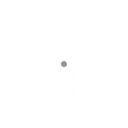 Ось, Shaft LCA73123 