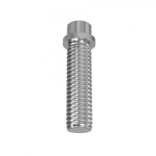 Винт, Screw, Special Cap R100357 