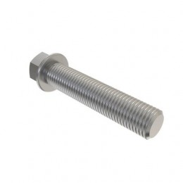 Винт с головкой, Cap Screw, Hex Flange, Special Head R116911 