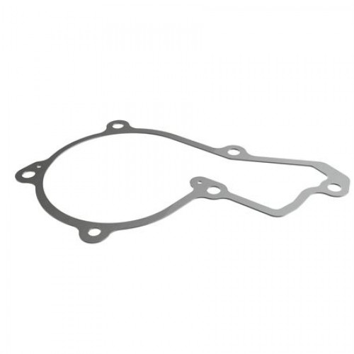 Прокладка, Gasket, Water Pump Cover R119383 