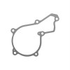 Прокладка, Gasket, Water Pump Cover R119383 