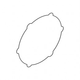 Уплотнительное кольцо, O-ring R133369 