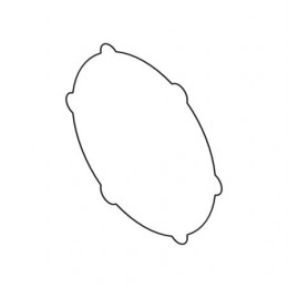 Уплотнительное кольцо, O-ring R133369 