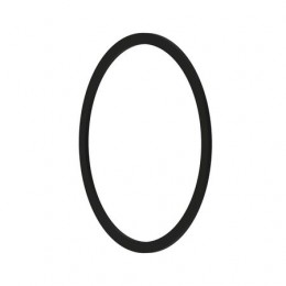 Шайба, Seal R43381 