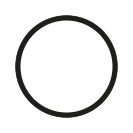 Шайба, Seal R43381 