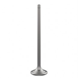 Впускной клапан, Intake Valve, 9.0l Engine R520223 