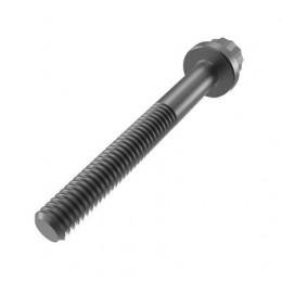 Винт, Screw, Special 12 Point Flange Head R523525 