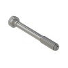 Винт с головкой, Cap Screw, Special Cap R85363 