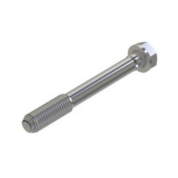 Винт с головкой, Cap Screw, Special Cap R85363 