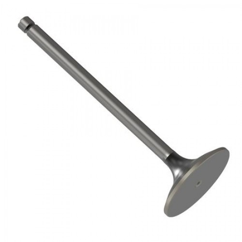 Впускной клапан, Intake Valve R98062 