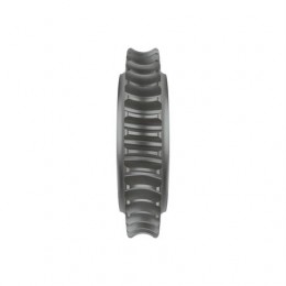 Червяк, Worm Gear, Worm Gear T167011 