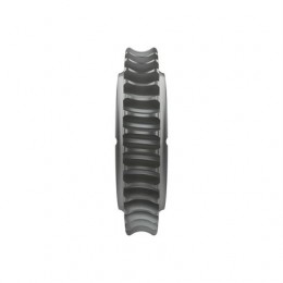 Червяк, Worm Gear, Worm Gear T167011 